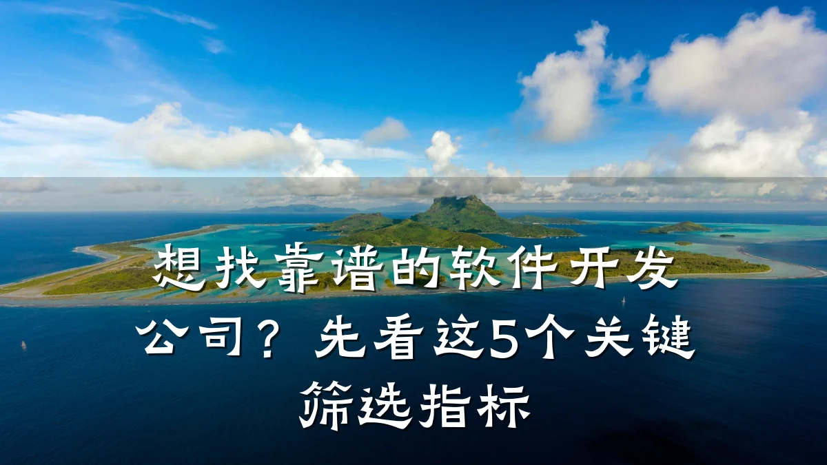 想找靠谱的软件开发公司?先看这5个关键筛选指标