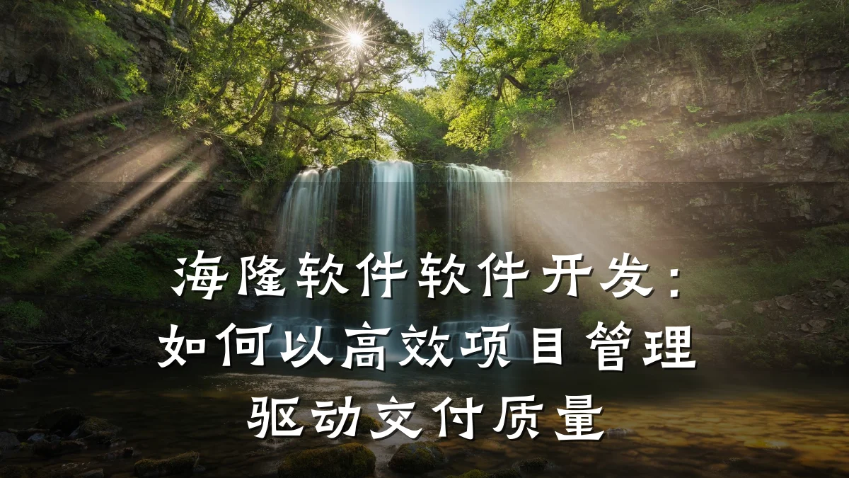 海隆软件软件开发:如何以高效项目管理驱动交付质量