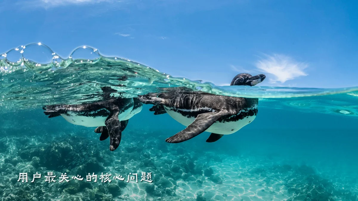 用户最关心的核心问题