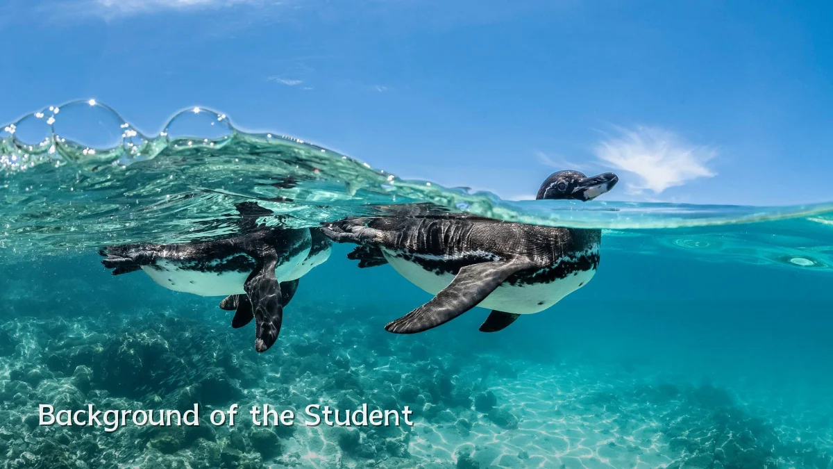 Background of the Student