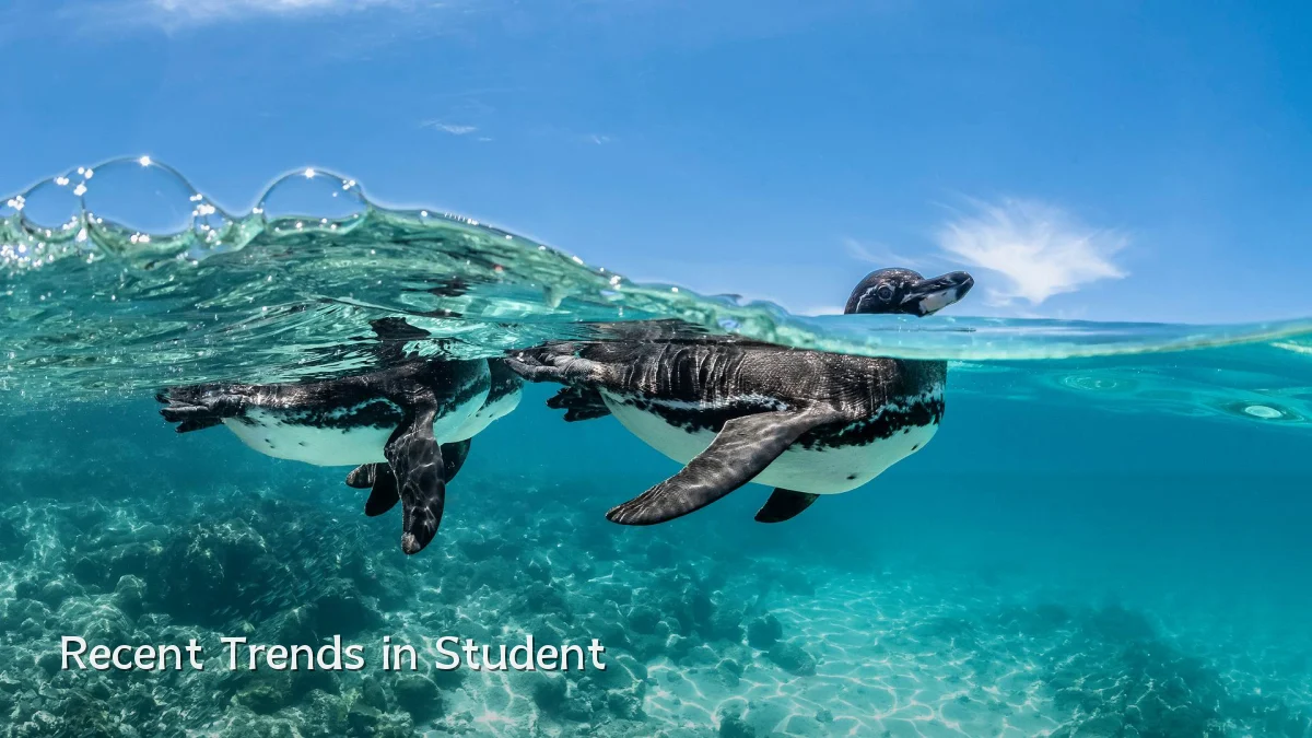 Recent Trends in Student