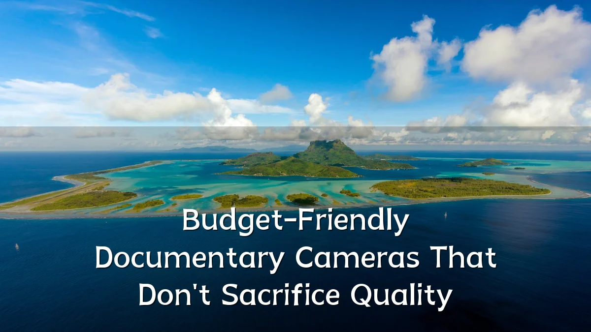 Budget-Friendly Documentary Cameras That Don't Sacrifice Quality