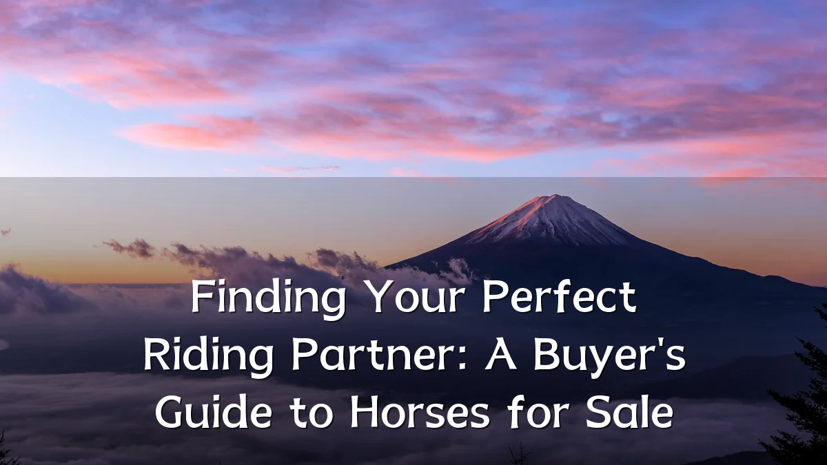 Finding Your Perfect Riding Partner: A Buyer's Guide to Horses for Sale