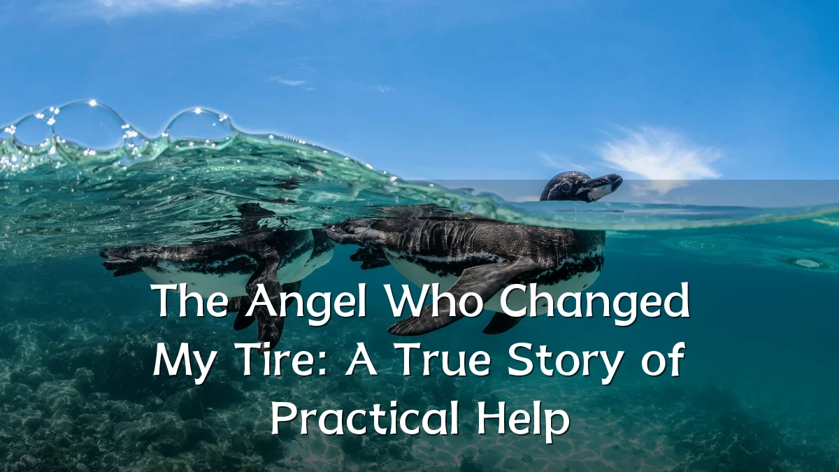 The Angel Who Changed My Tire: A True Story of Practical Help
