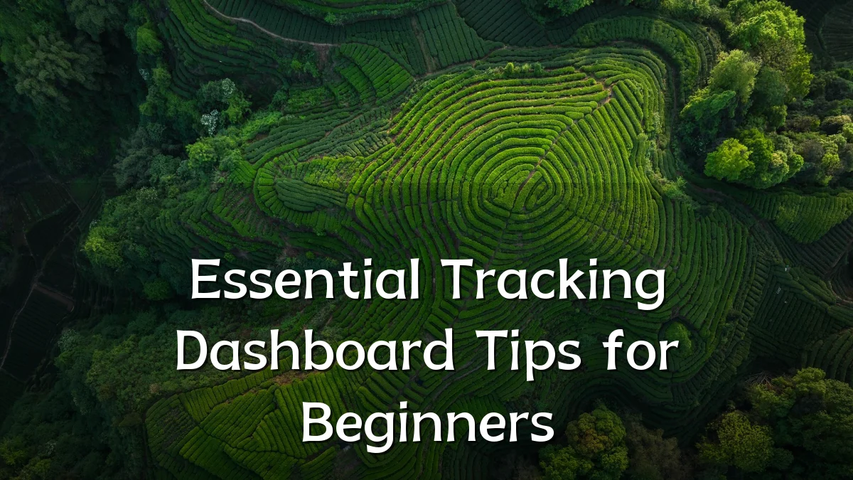 Essential Tracking Dashboard Tips for Beginners