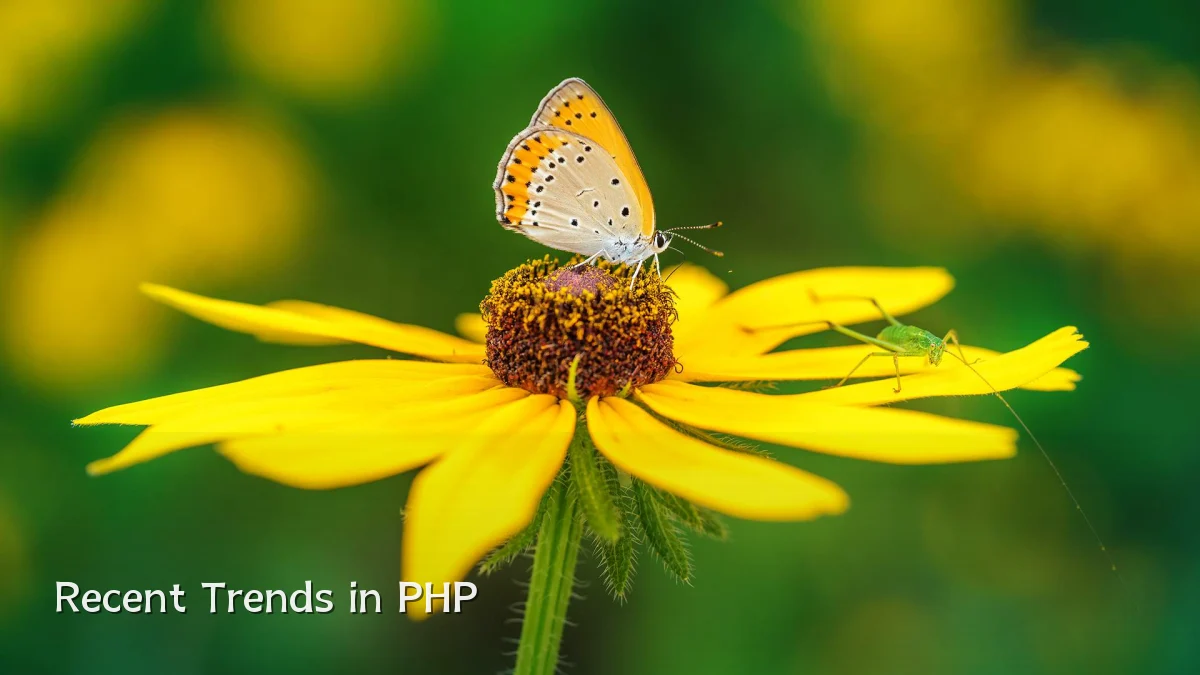 Recent Trends in PHP