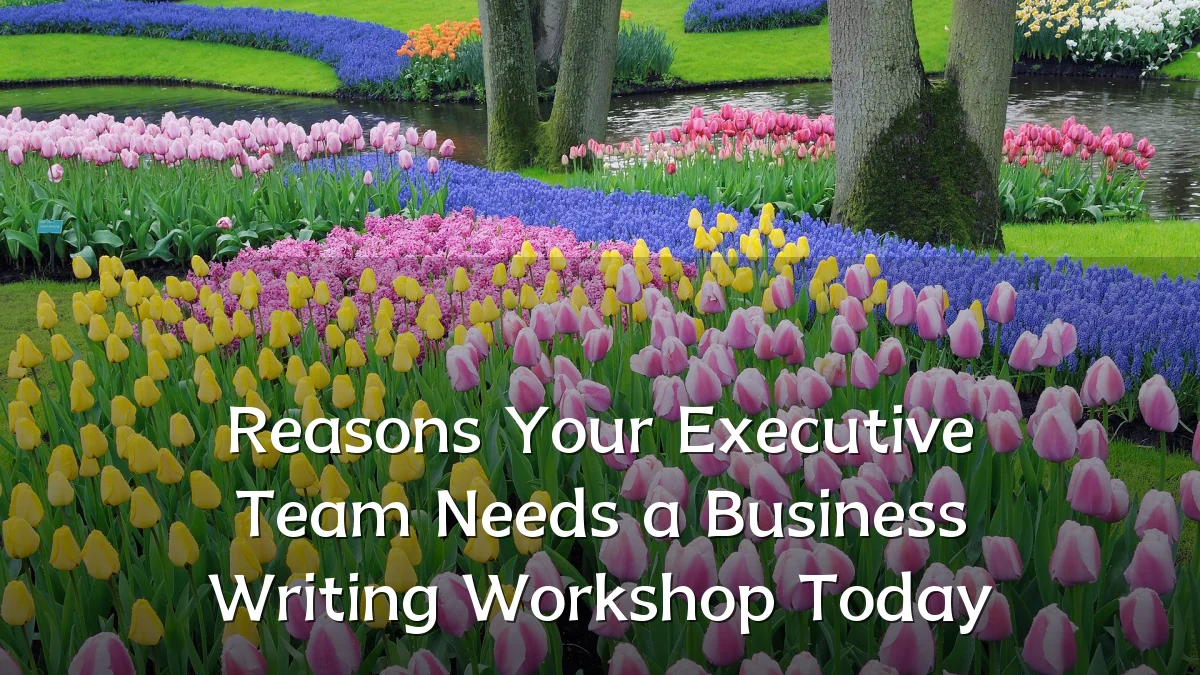 Reasons Your Executive Team Needs a Business Writing Workshop Today