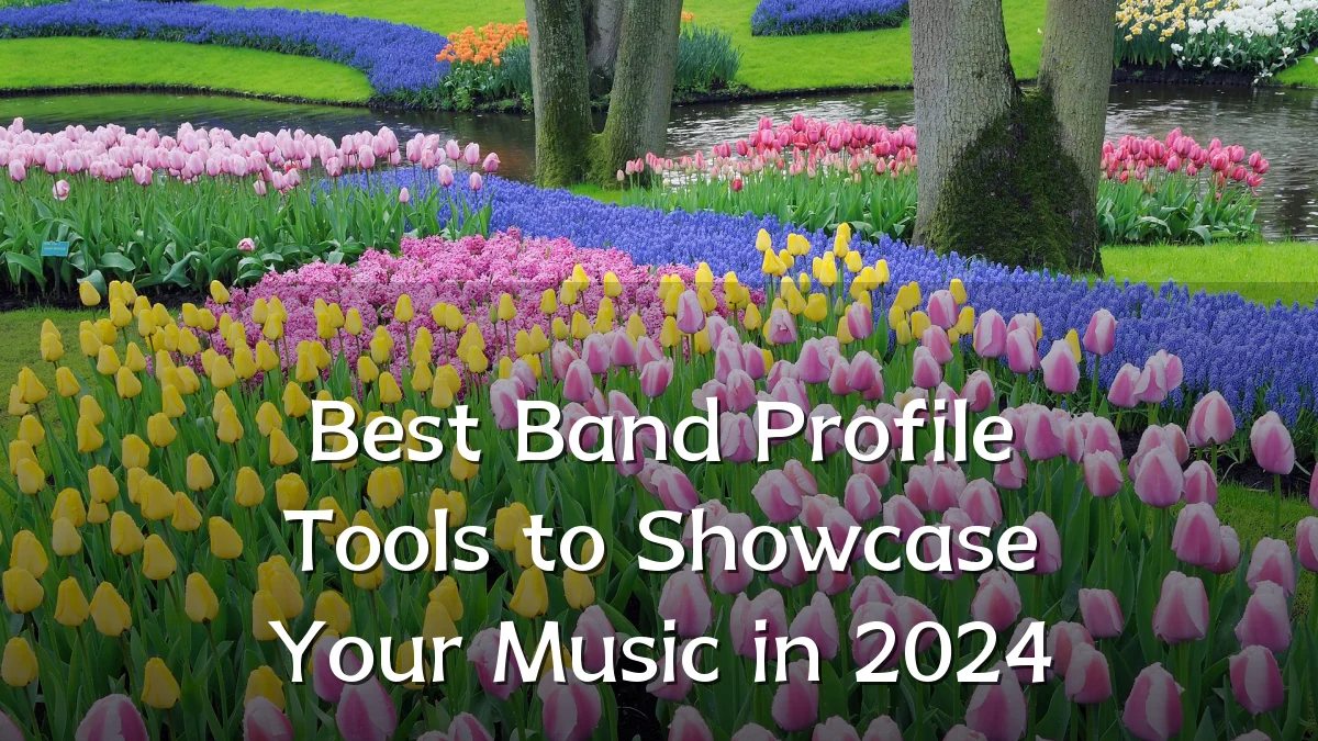 Best Band Profile Tools to Showcase Your Music in 2024