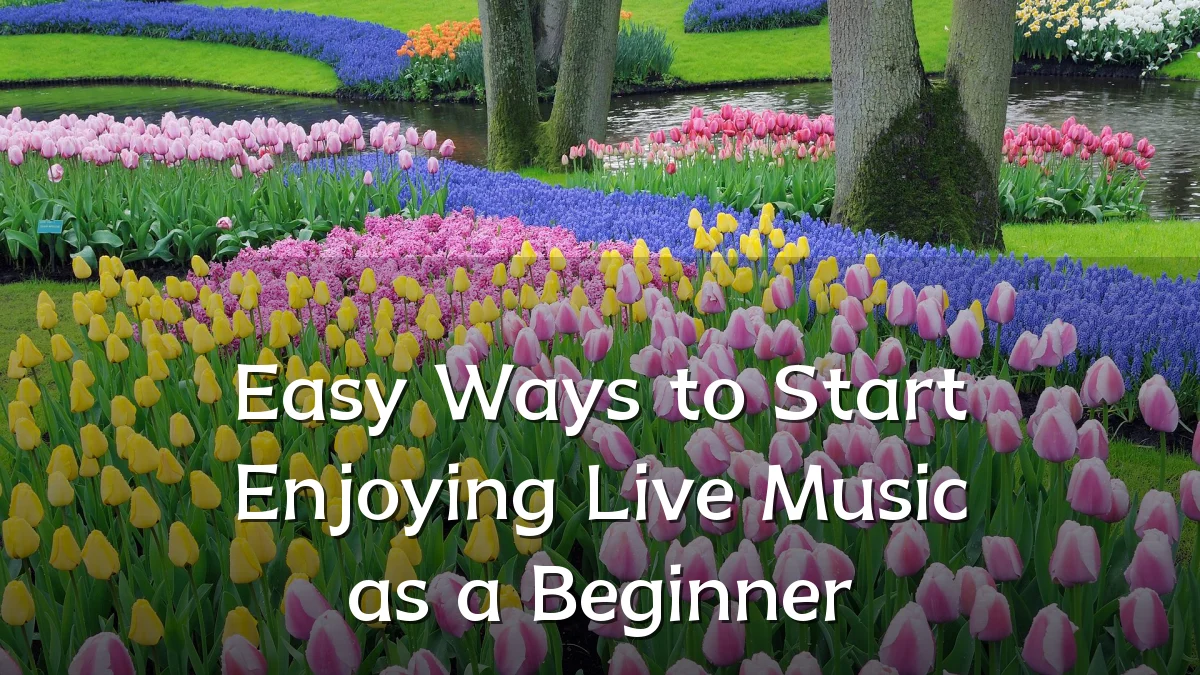 Easy Ways to Start Enjoying Live Music as a Beginner