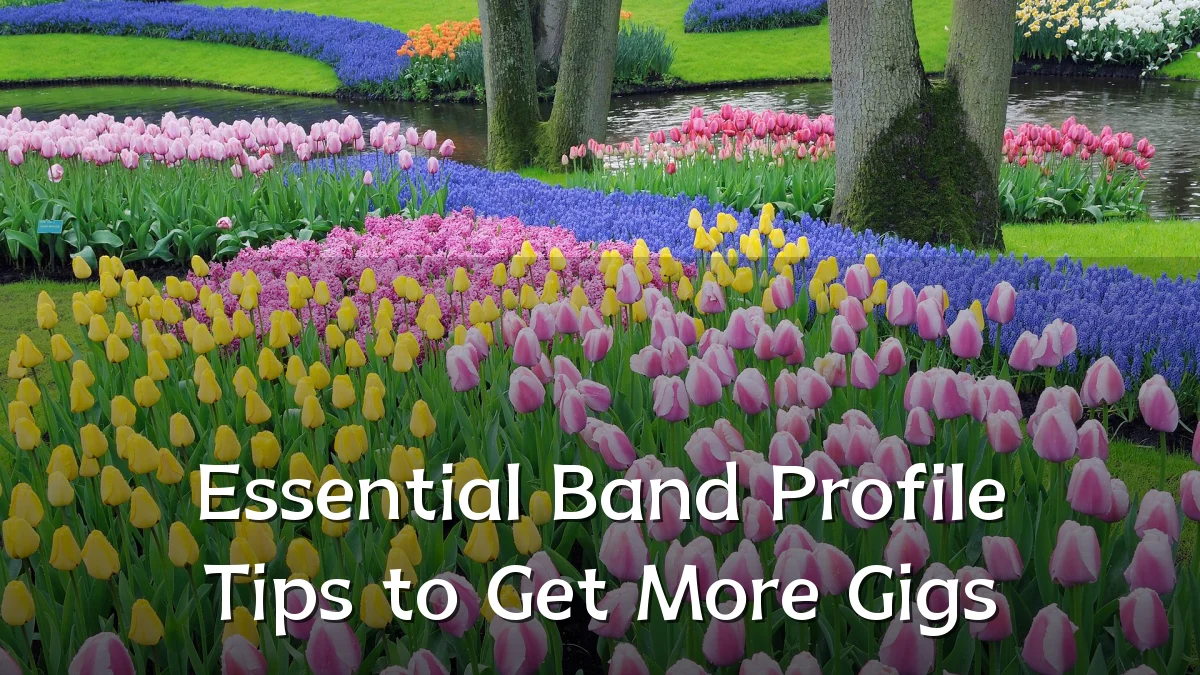 Essential Band Profile Tips to Get More Gigs