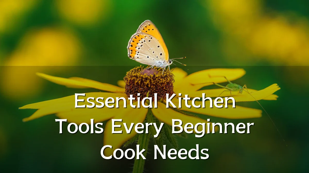 Essential Kitchen Tools Every Beginner Cook Needs