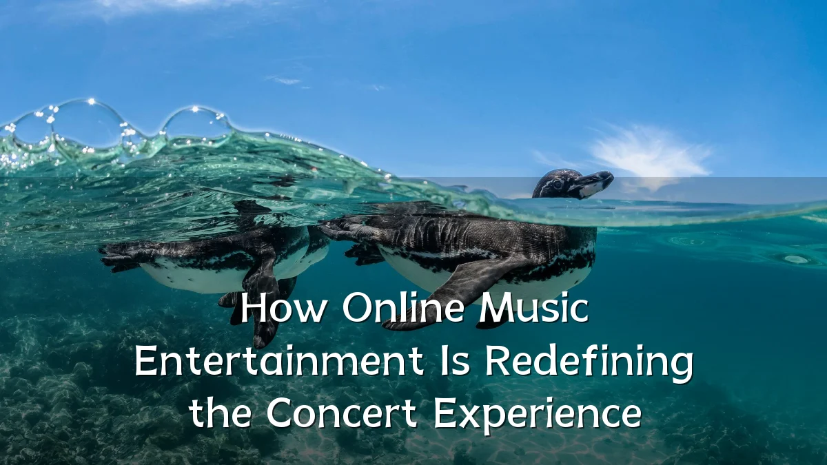 How Online Music Entertainment Is Redefining the Concert Experience