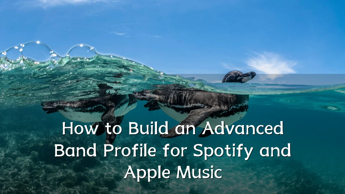 How to Build an Advanced Band Profile for Spotify and Apple Music