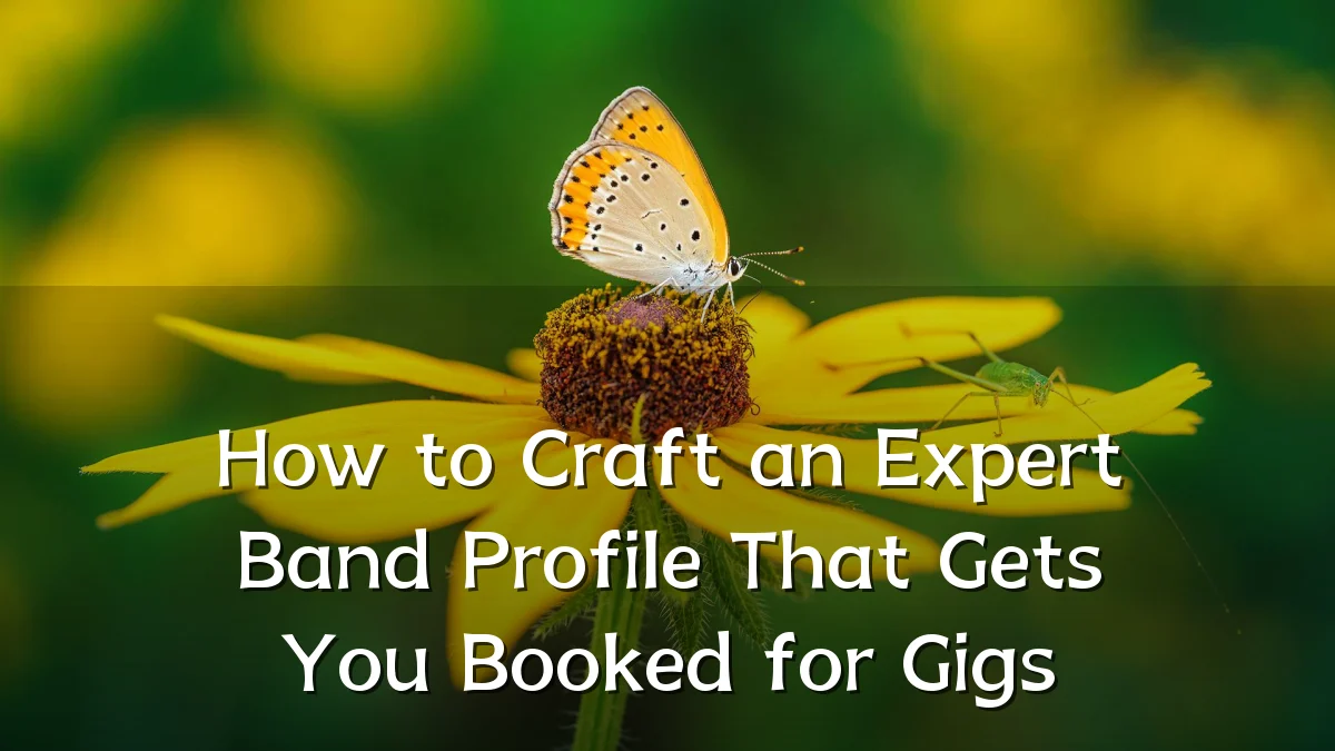How to Craft an Expert Band Profile That Gets You Booked for Gigs