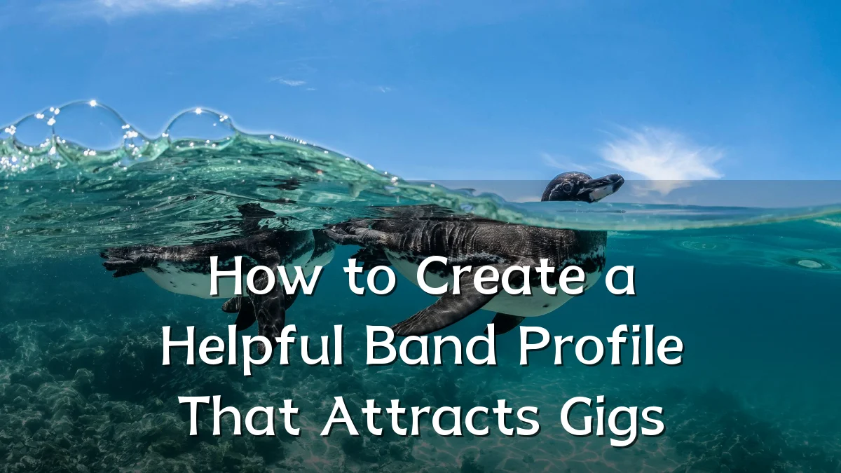 How to Create a Helpful Band Profile That Attracts Gigs