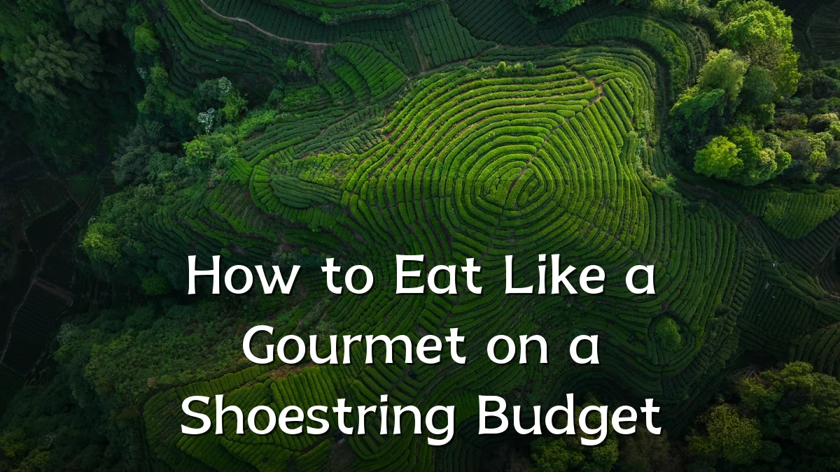 How to Eat Like a Gourmet on a Shoestring Budget