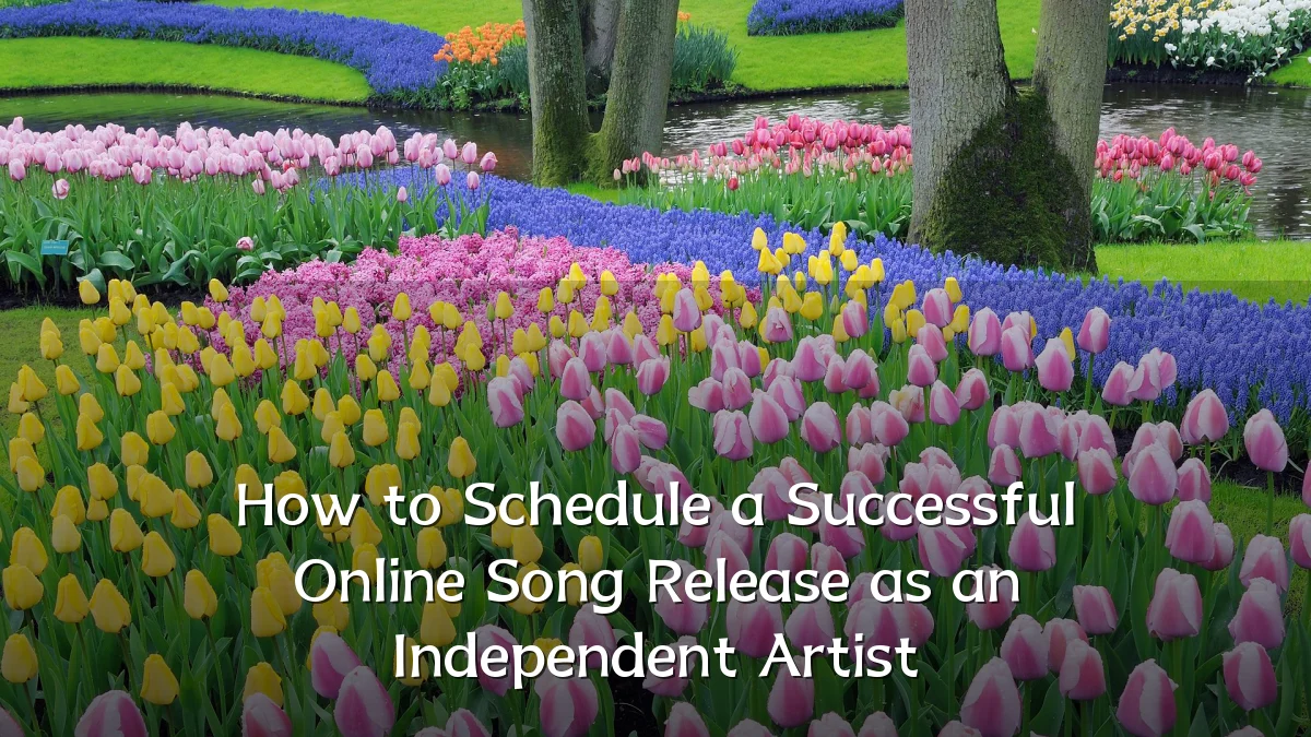 How to Schedule a Successful Online Song Release as an Independent Artist
