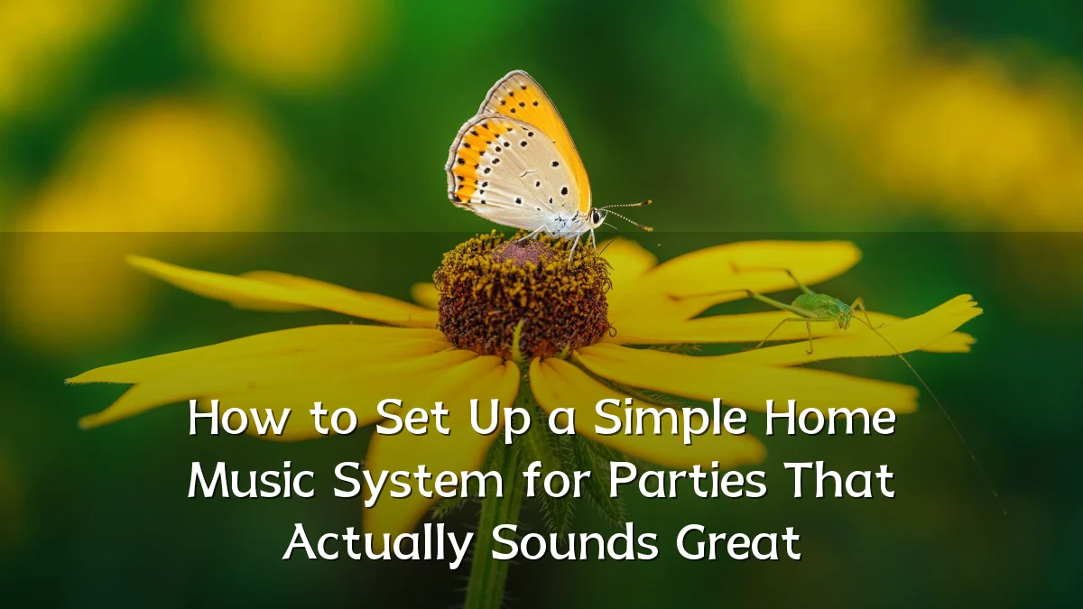 How to Set Up a Simple Home Music System for Parties That Actually Sounds Great