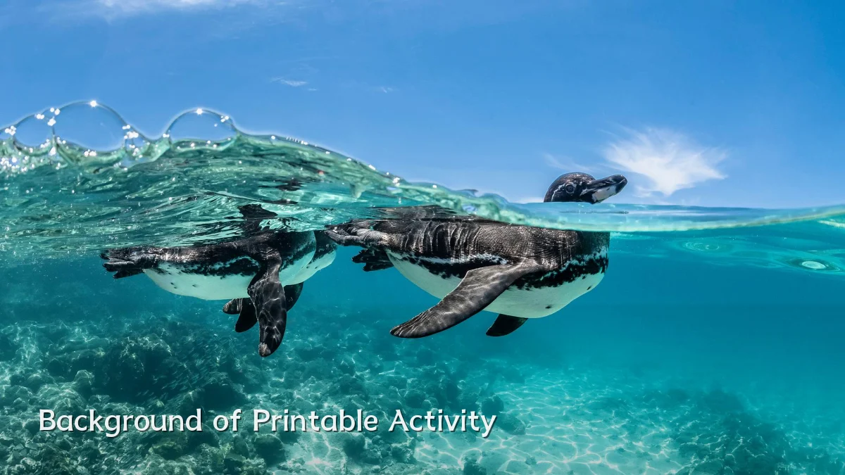 Background of Printable Activity