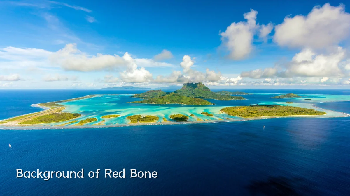 Background of Red Bone