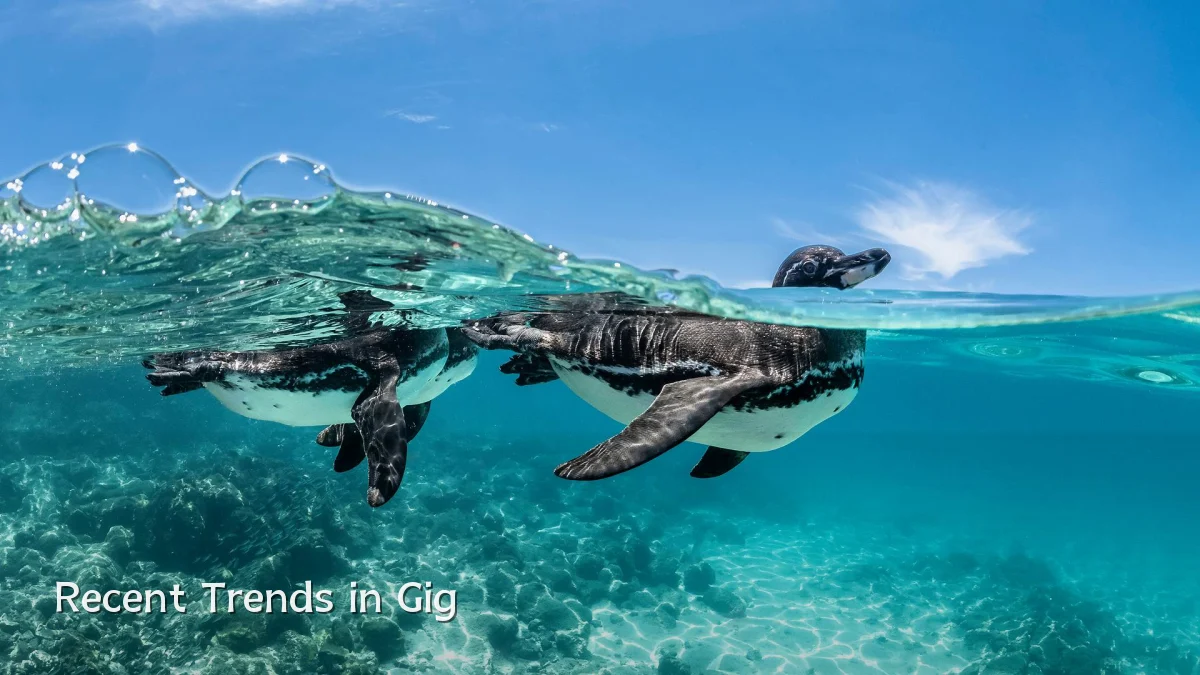 Recent Trends in Gig