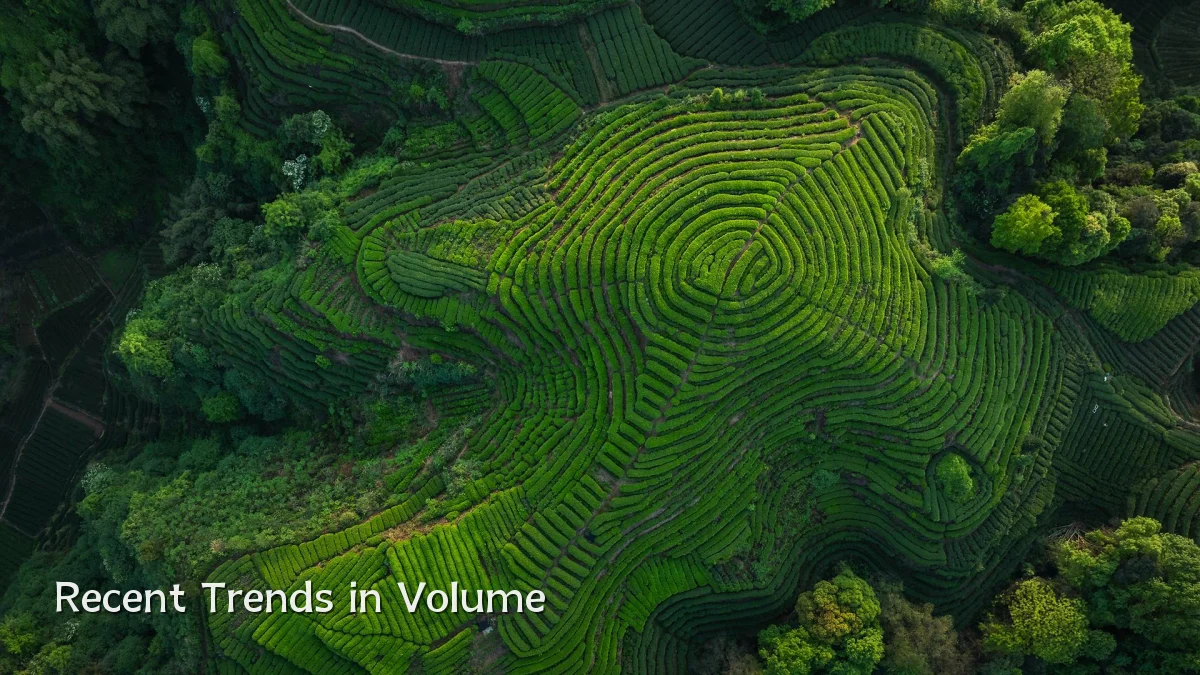 Recent Trends in Volume