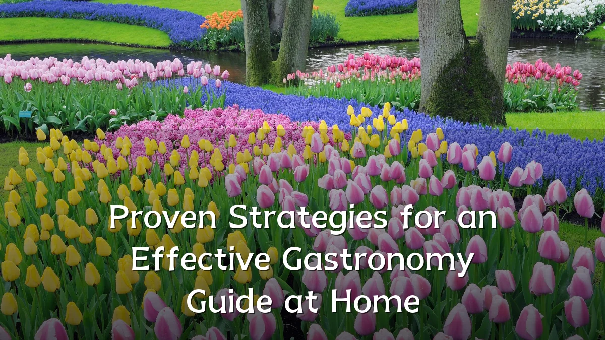 Proven Strategies for an Effective Gastronomy Guide at Home