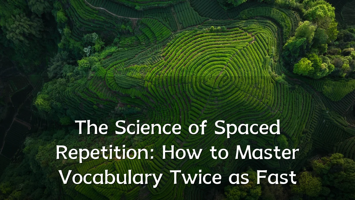 The Science of Spaced Repetition: How to Master Vocabulary Twice as Fast