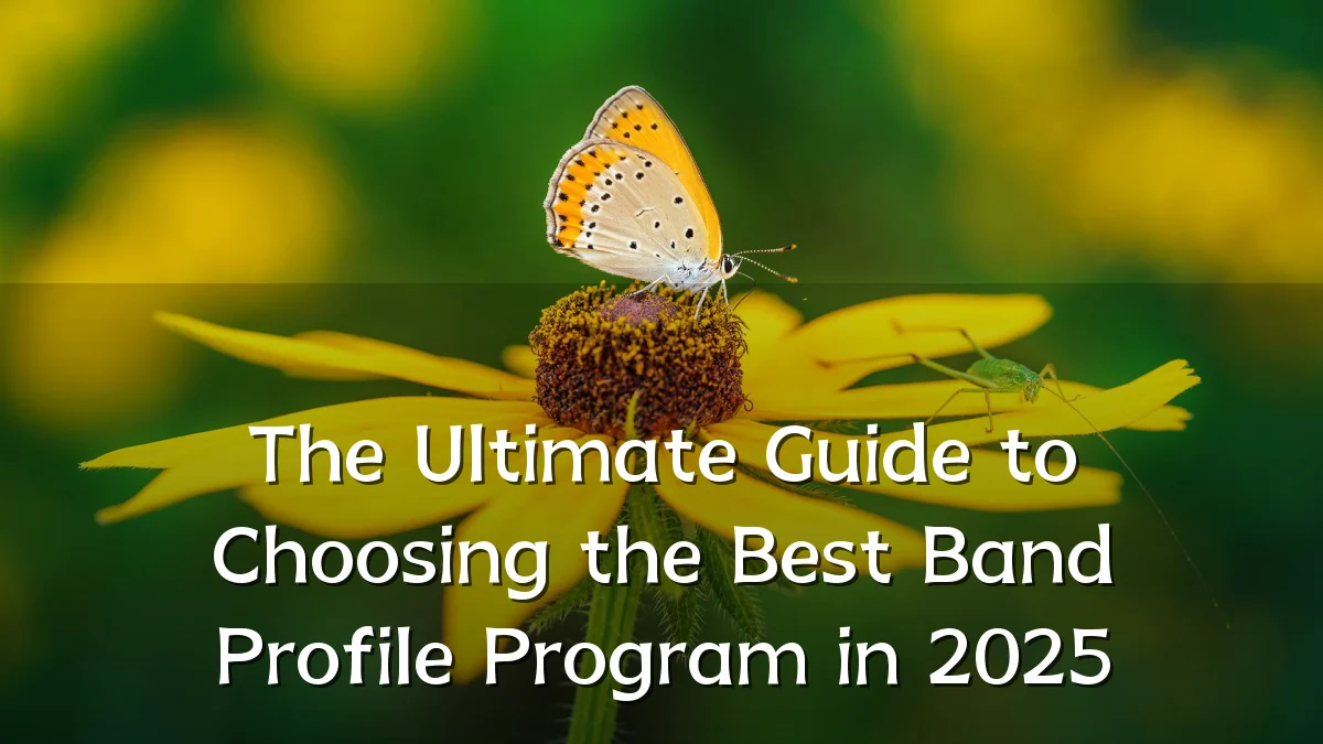 The Ultimate Guide to Choosing the Best Band Profile Program in 2025
