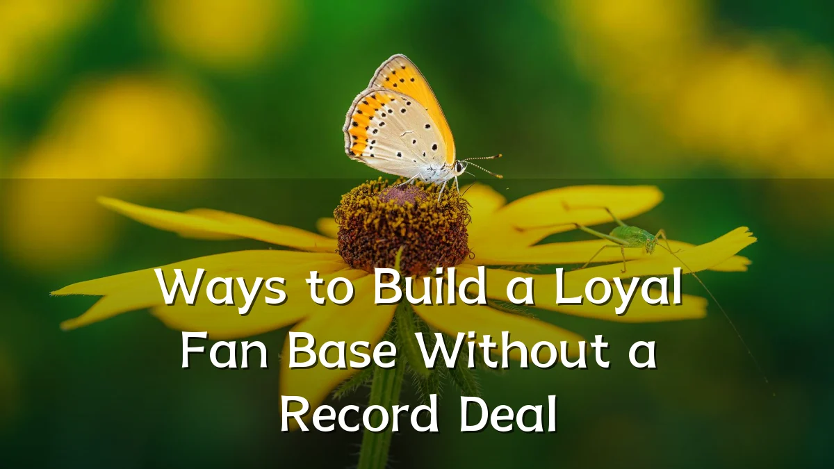 Ways to Build a Loyal Fan Base Without a Record Deal