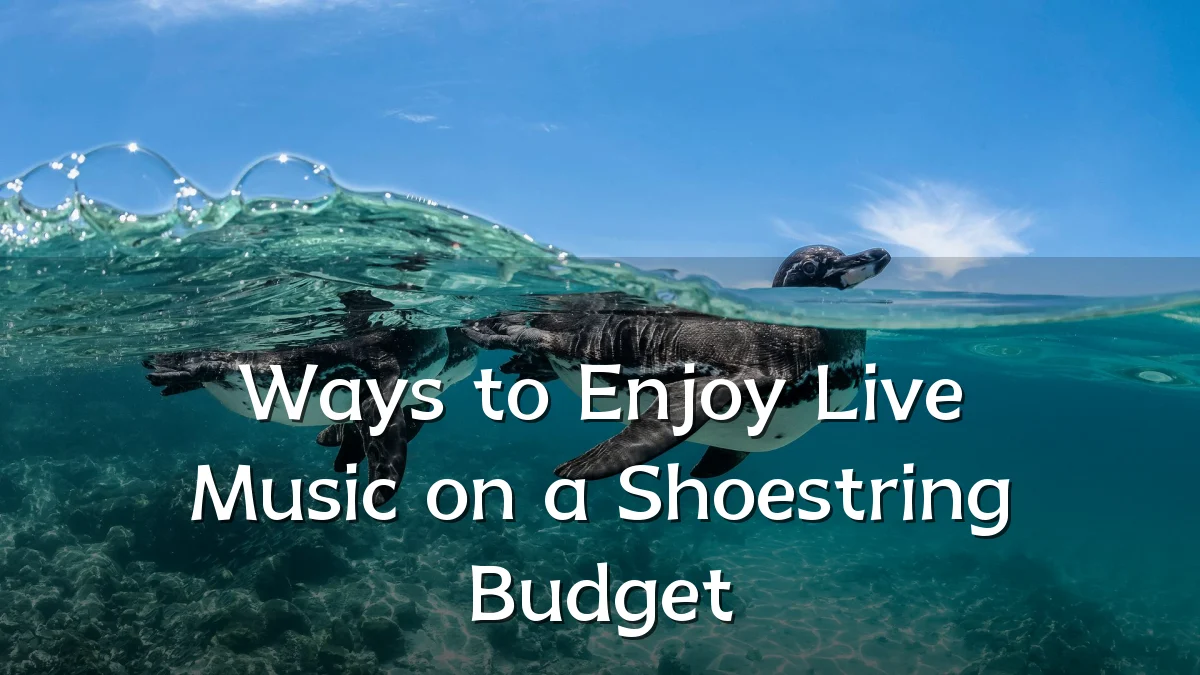 Ways to Enjoy Live Music on a Shoestring Budget