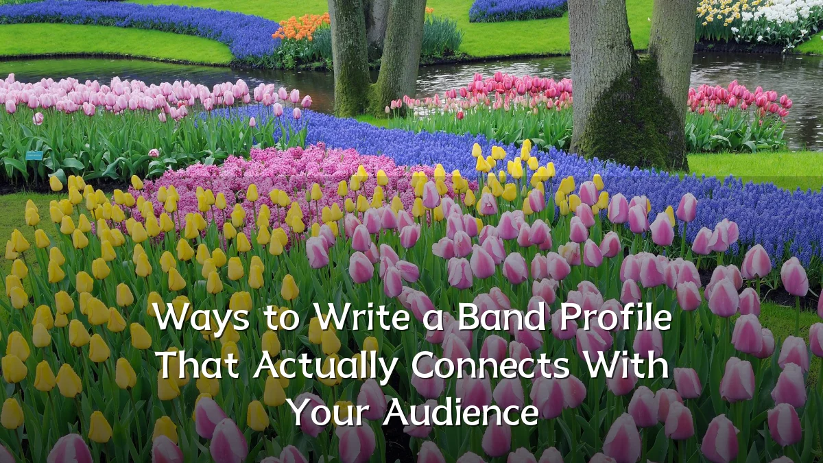 Ways to Write a Band Profile That Actually Connects With Your Audience