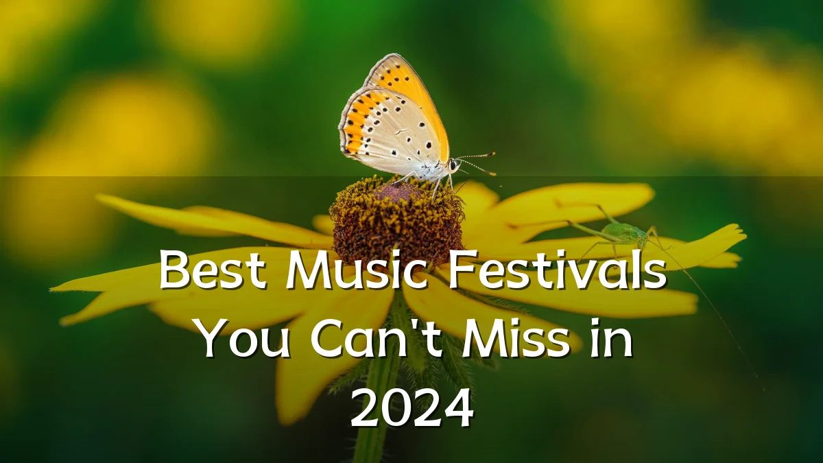 Best Music Festivals You Can't Miss in 2024