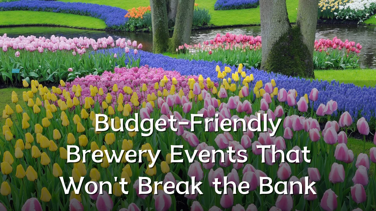 Budget-Friendly Brewery Events That Won't Break the Bank