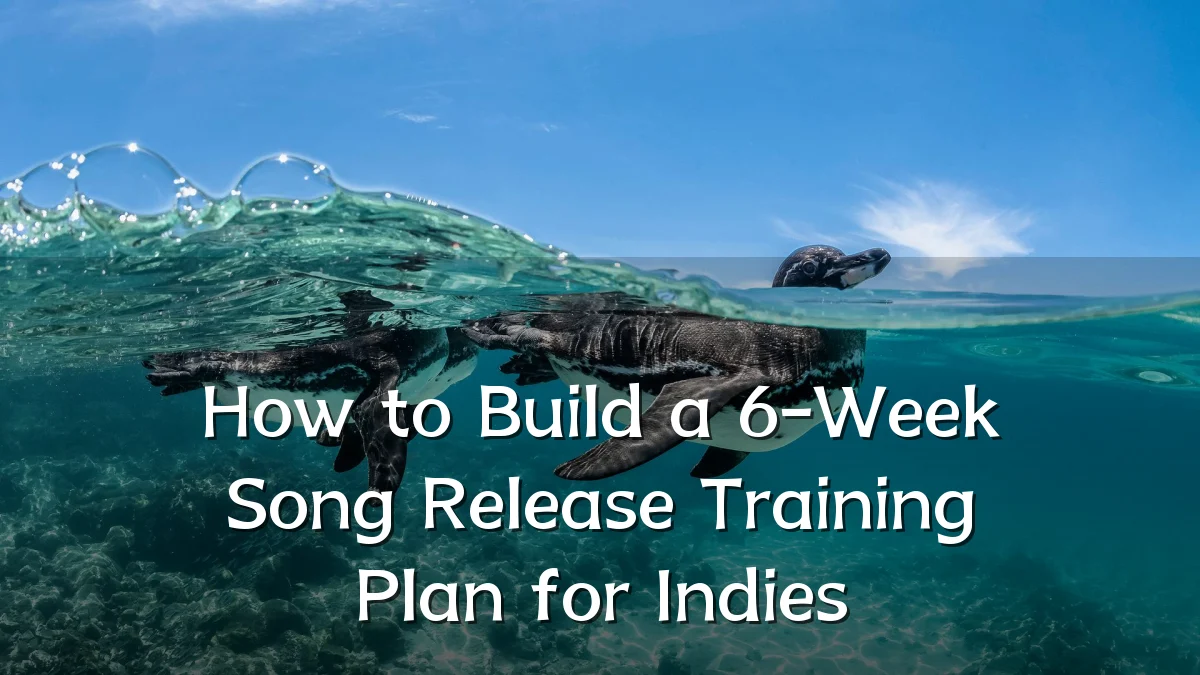 How to Build a 6-Week Song Release Training Plan for Indies