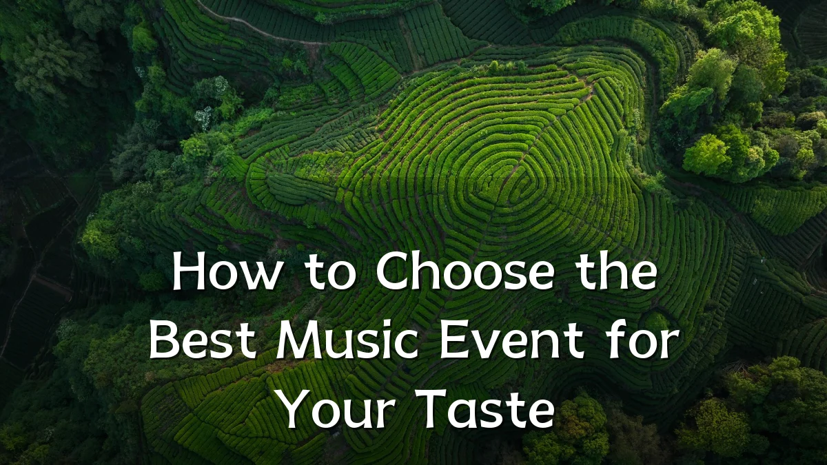 How to Choose the Best Music Event for Your Taste