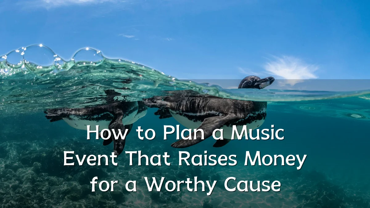 How to Plan a Music Event That Raises Money for a Worthy Cause