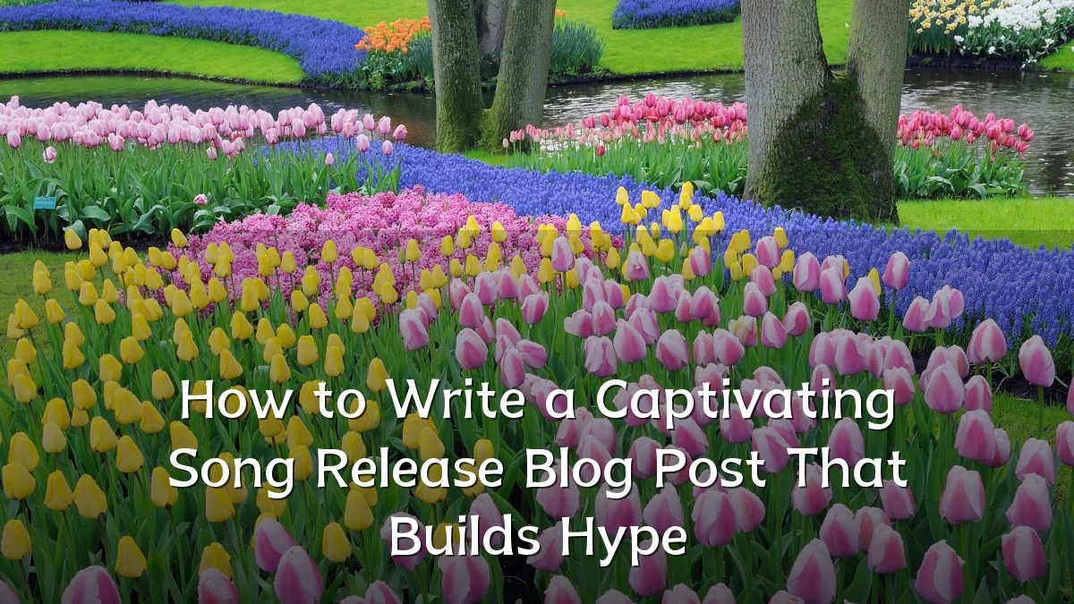 How to Write a Captivating Song Release Blog Post That Builds Hype