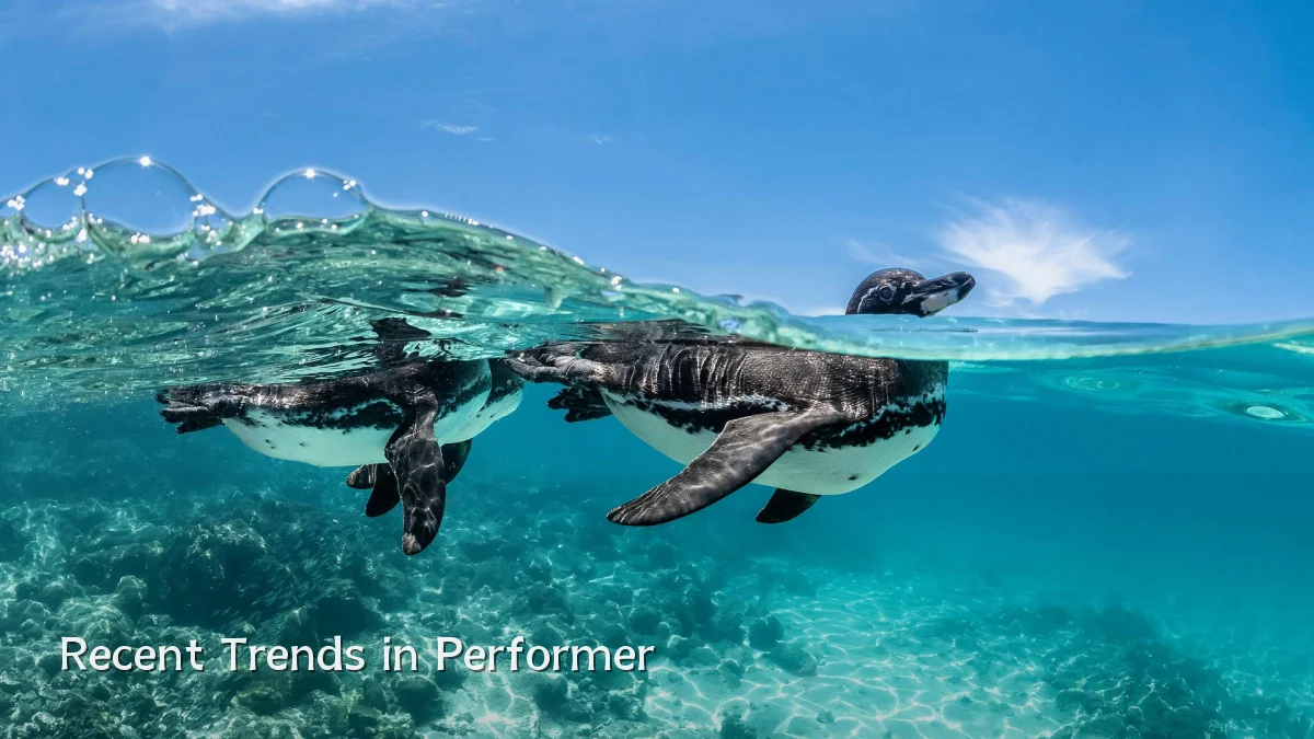 Recent Trends in Performer