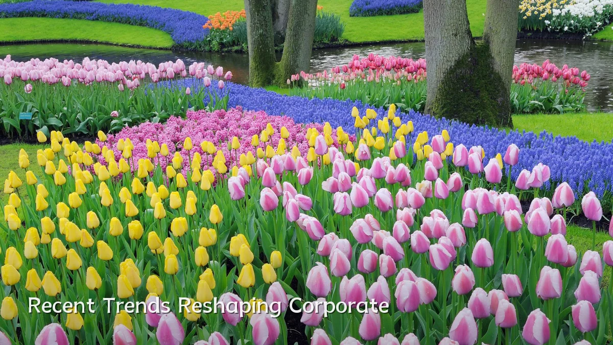Recent Trends Reshaping Corporate