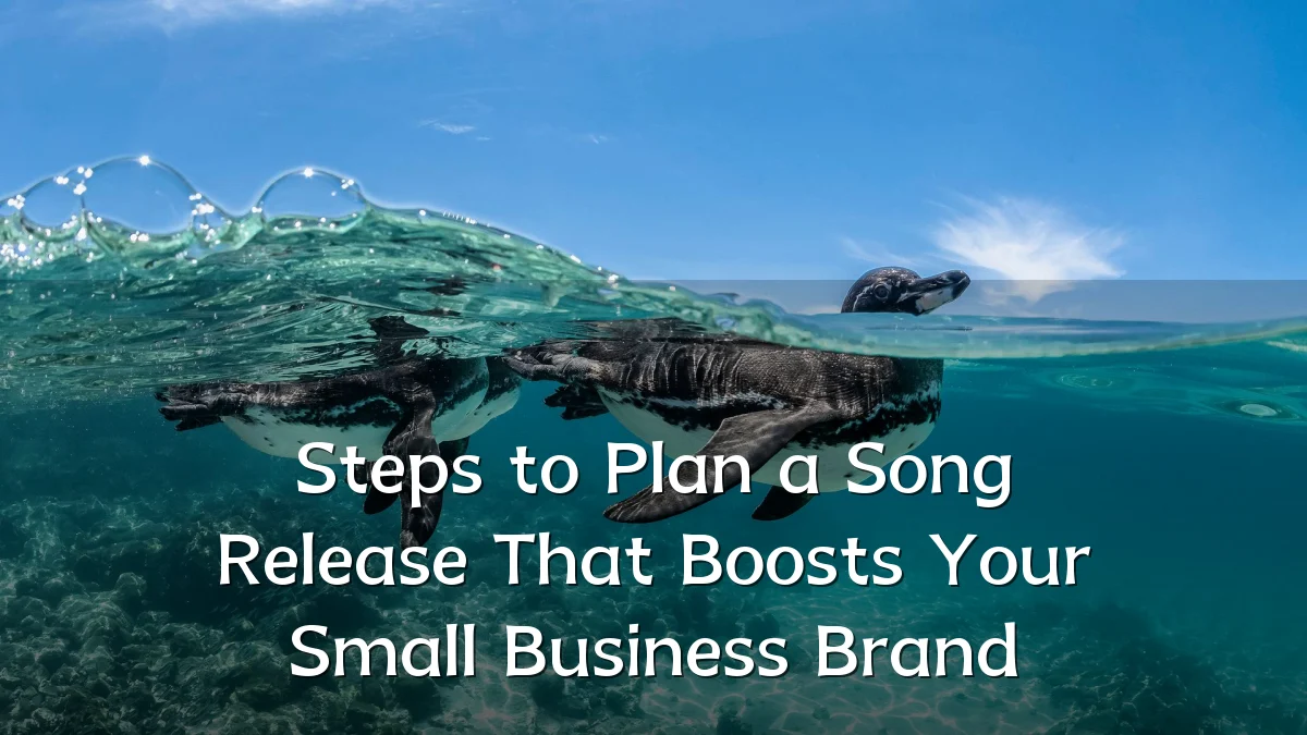 Steps to Plan a Song Release That Boosts Your Small Business Brand
