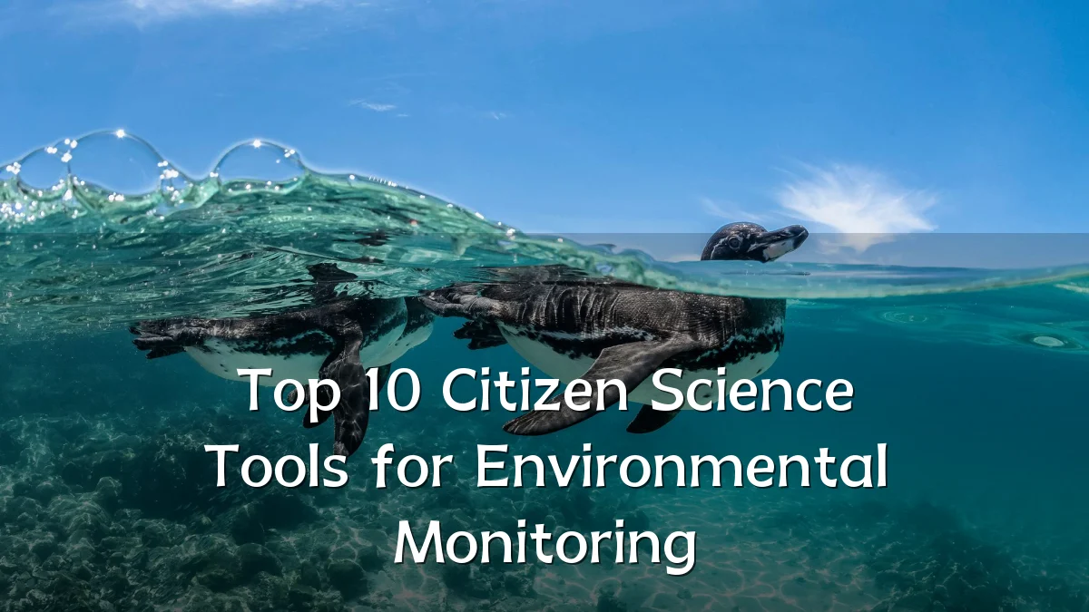 Top 10 Citizen Science Tools for Environmental Monitoring