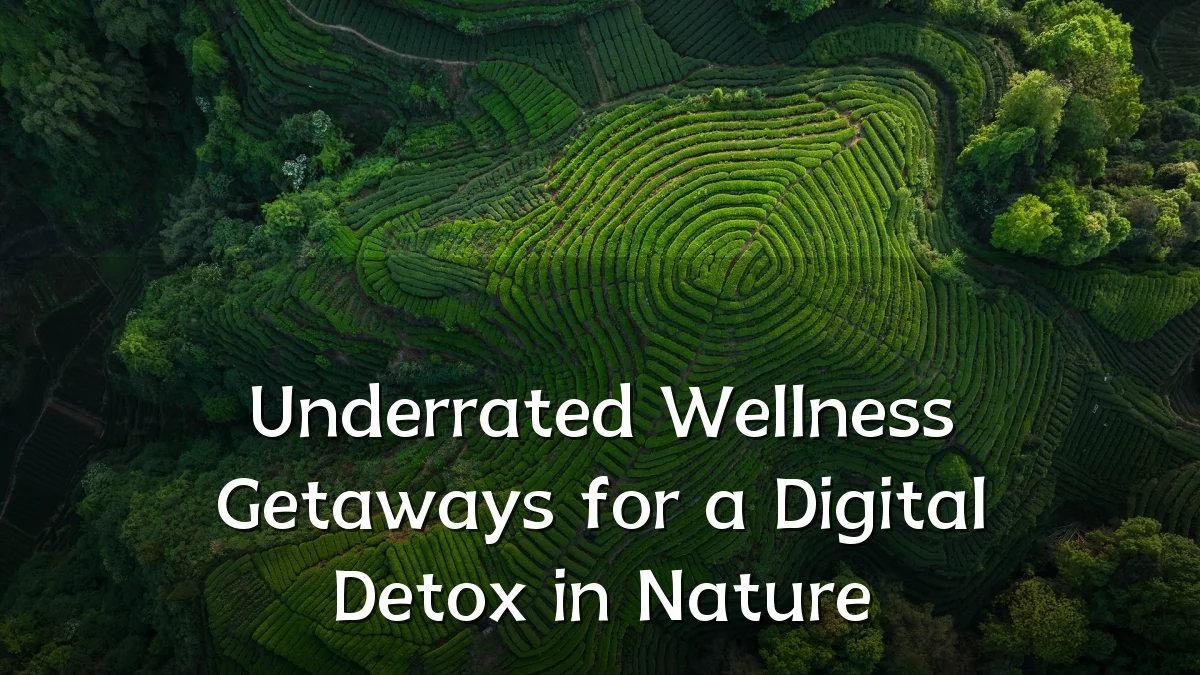 Underrated Wellness Getaways for a Digital Detox in Nature