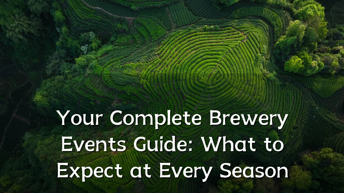 Your Complete Brewery Events Guide: What to Expect at Every Season