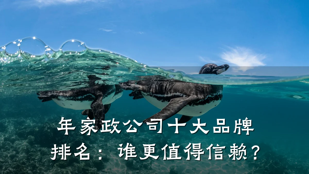 年家政公司十大品牌排名：谁更值得信赖？