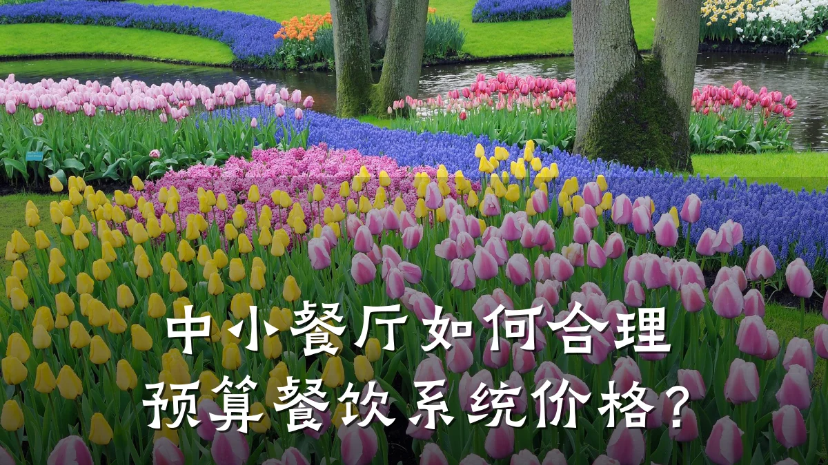 中小餐厅如何合理预算餐饮系统价格？