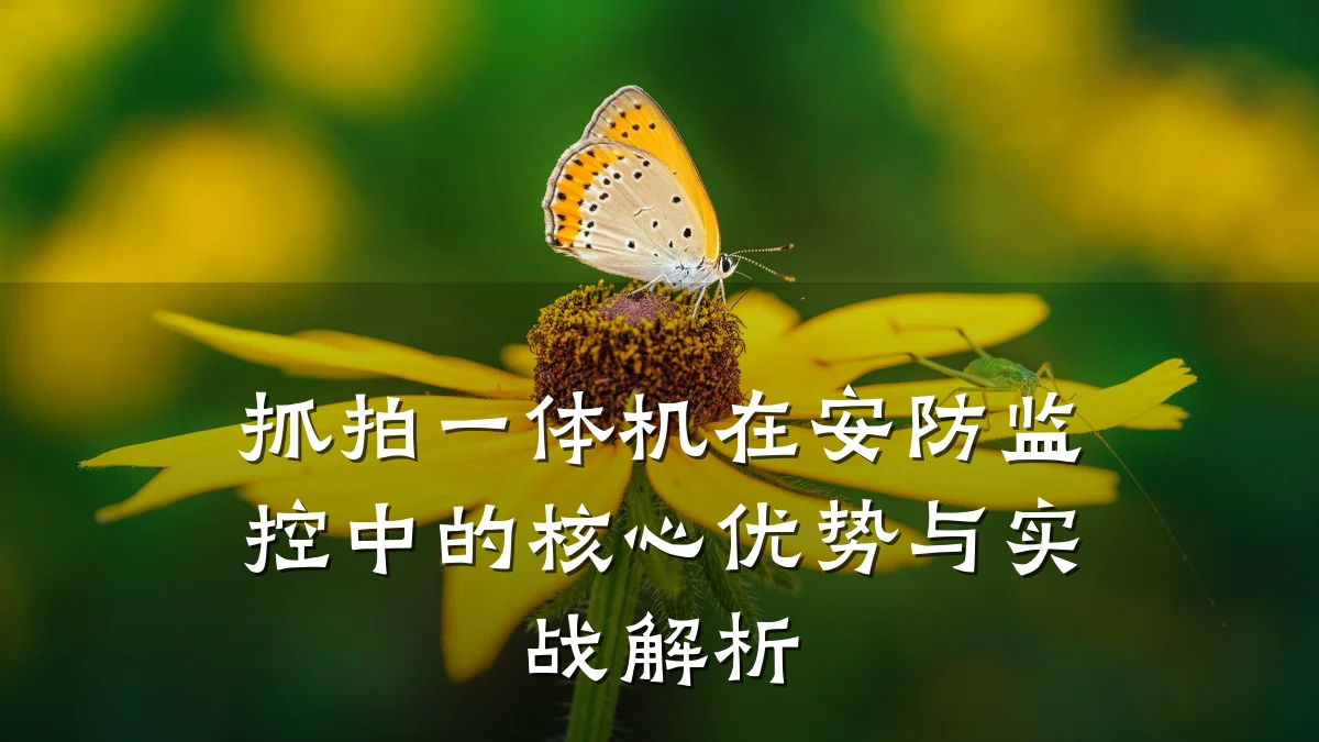 抓拍一体机在安防监控中的核心优势与实战解析