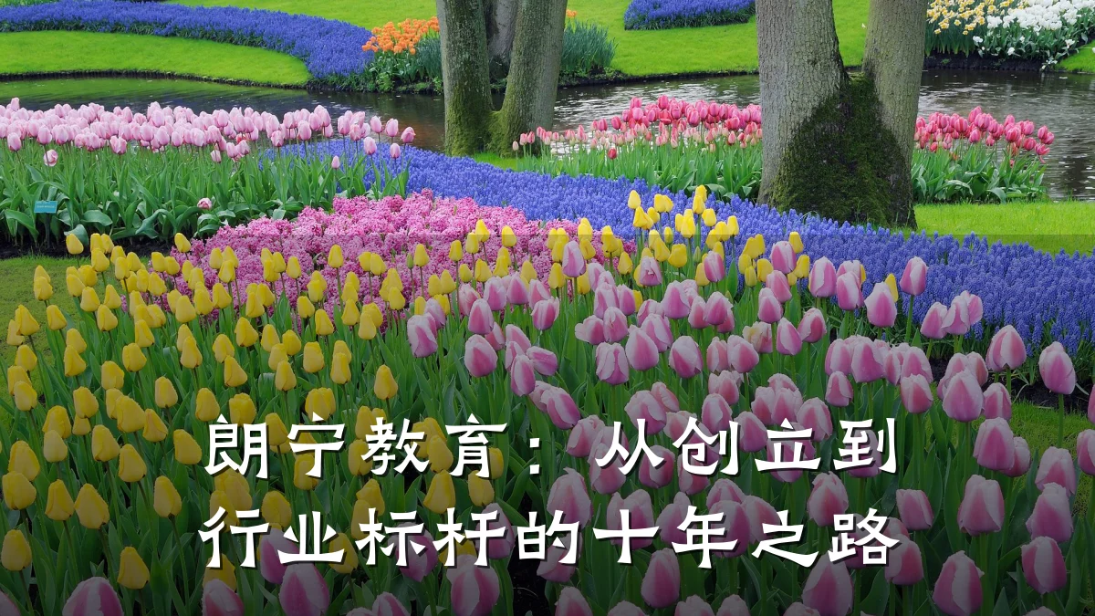 朗宁教育：从创立到行业标杆的十年之路